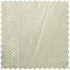 yk-81-2-Gemma-Golden-Pearl-Bush