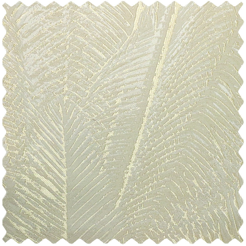 yk-81-2-Gemma-Golden-Pearl-Bush