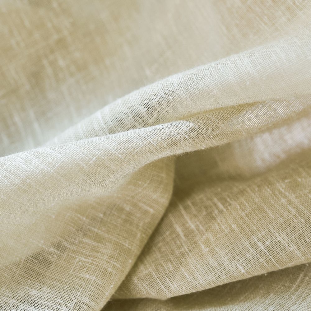 Kodi - Light Sheer Brings Fancy Hues!