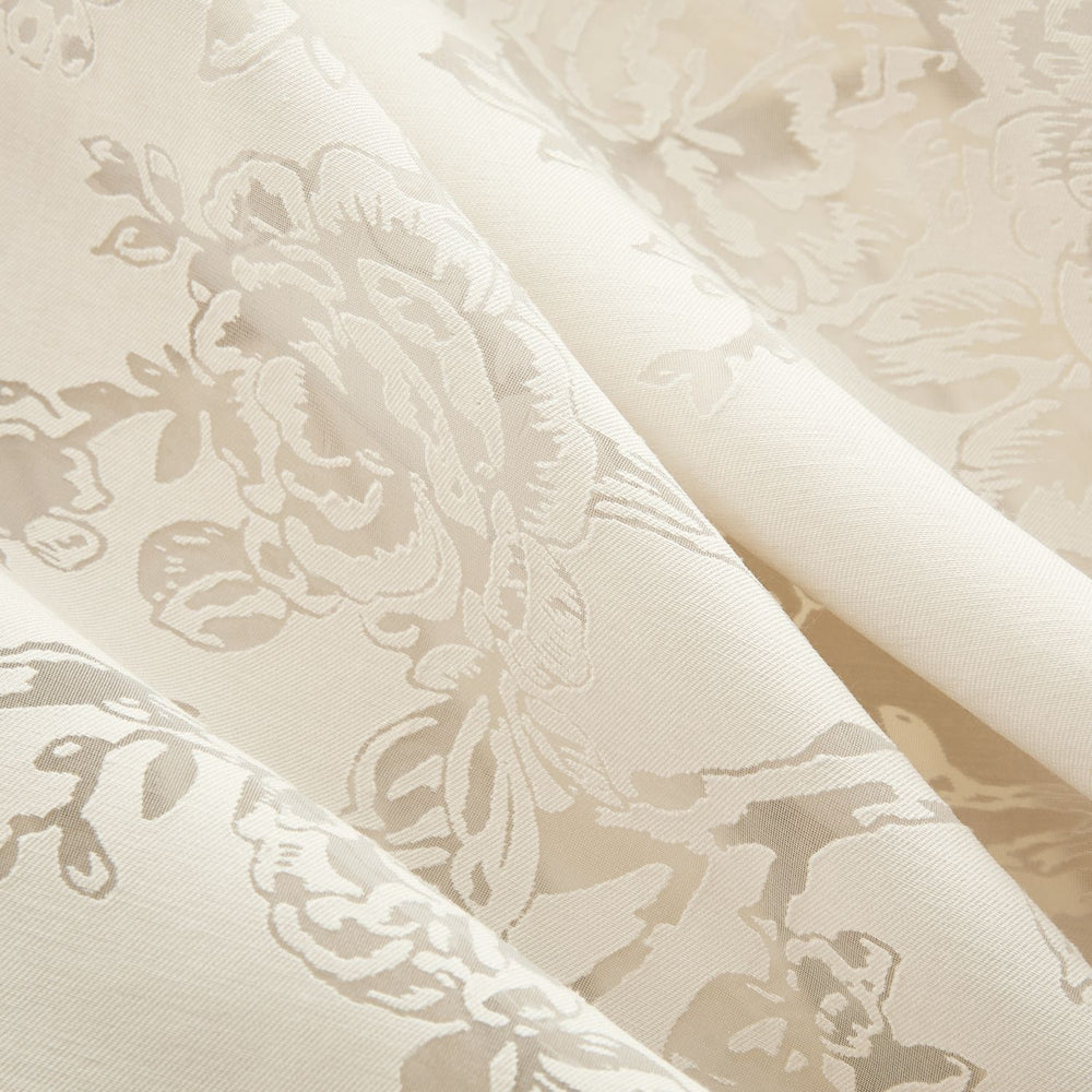 Zinnia - Love how the light filters through!