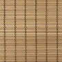 Mokara Honey Swatch