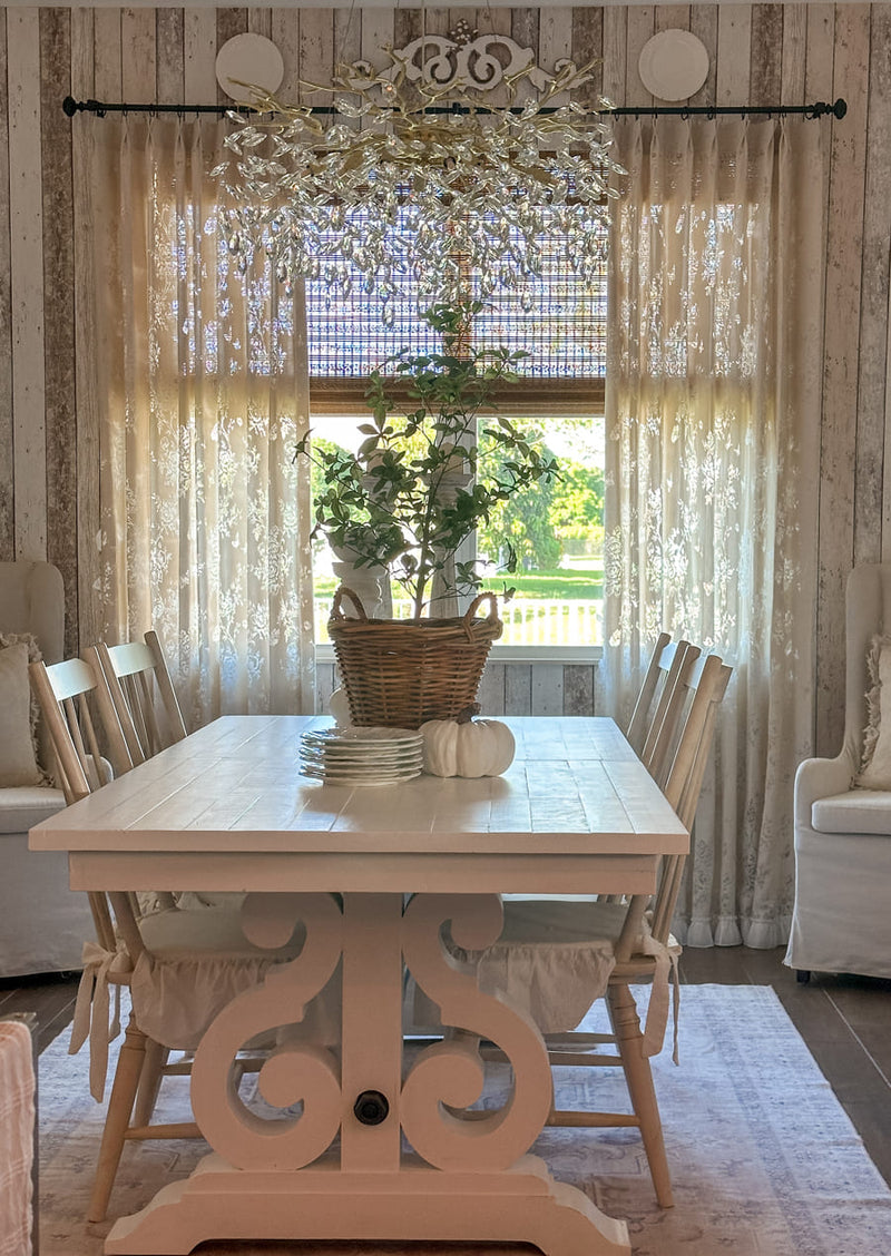 Zinnia - Love how the light filters through!